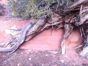 Photo May 19, 7 21 16 PM