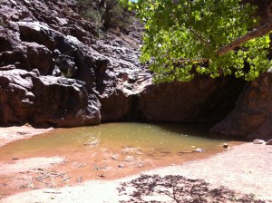 Photo May 23, 1 42 11 PM