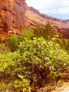 Photo May 25, 12 02 40 PM