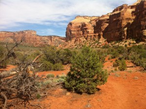 Photo May 25, 9 52 30 AM