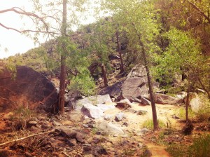 Photo May 26, 12 17 16 PM