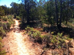 Photo Jun 09, 11 26 35 AM