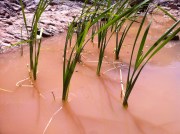 Photo Jun 21, 2 47 27 PM