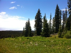 Photo Jun 24, 12 19 50 PM