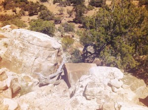 Photo May 27, 2 18 23 PM