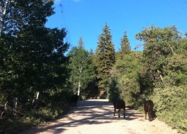 Photo Jul 02, 7 16 26 PM