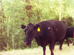 Photo Jul 02, 7 20 34 PM