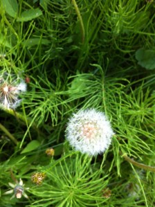 Photo Jul 02, 8 30 03 PM