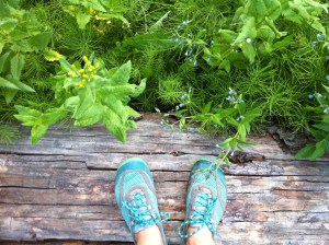 Photo Jul 02, 8 30 37 PM