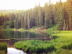 Photo Jul 02, 8 31 58 PM