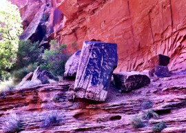 Photo Jul 03, 10 36 24 AM