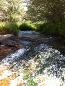 Photo Jul 03, 11 04 37 AM