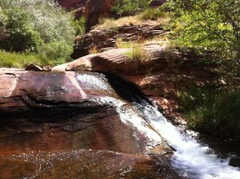 Photo Jul 03, 11 41 02 AM