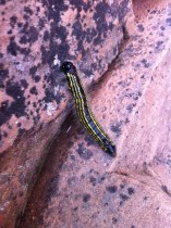 Photo Sep 25, 2 35 49 PM