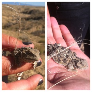 Photo Sep 25, 4 31 35 PM