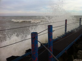 Photo Nov 20, 2 56 47 PM