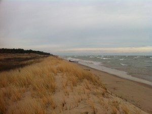 Photo Nov 20, 3 41 29 PM