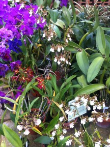 Photo Dec 01, 12 48 23 PM