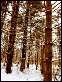 Photo Dec 15, 3 56 56 PM