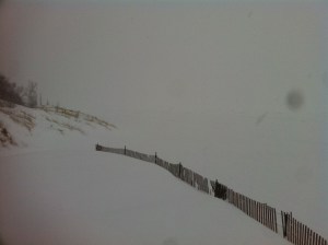 Photo Feb 01, 1 23 55 PM