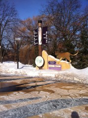 Photo Feb 03, 10 50 10 AM