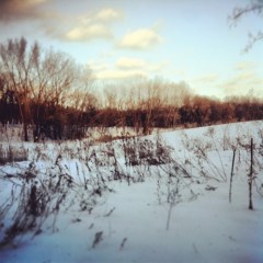 Photo Feb 06, 5 16 56 PM