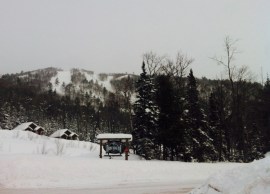 Photo Feb 15, 1 49 27 PM