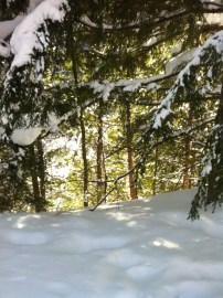 Photo Feb 16, 12 48 46 PM