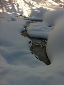 Photo Feb 16, 12 56 20 PM