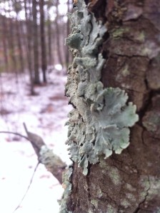 Photo Apr 07, 11 53 38 AM