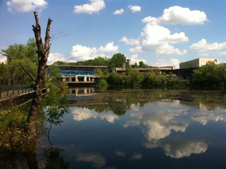 Photo Jun 06, 3 48 06 PM