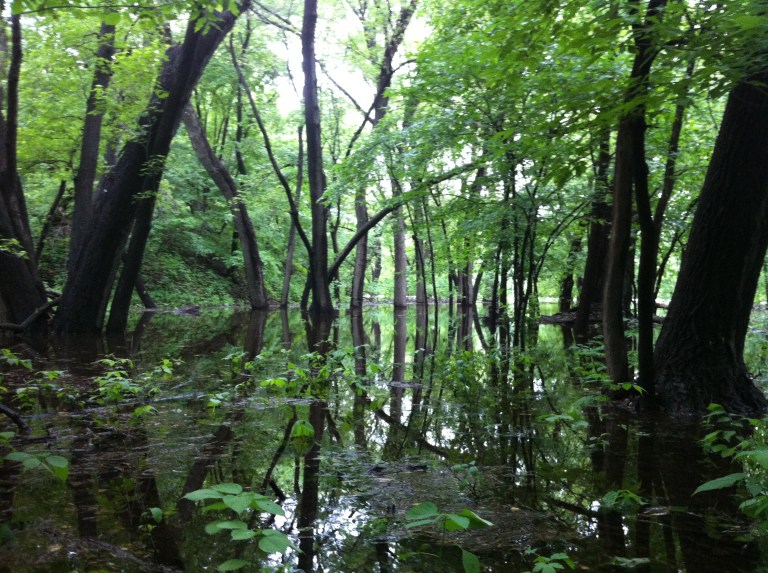 Photo Jun 07, 5 43 42 PM