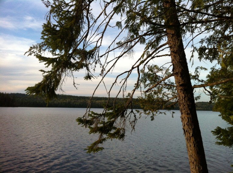 Photo May 25, 7 48 27 PM