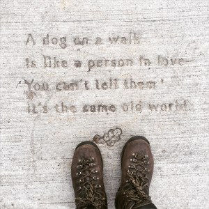 2015-01-31 16.03.38-1